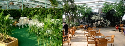 蓮花山滑雪場生態園